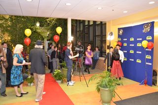 PVH_8183 PVH_8183